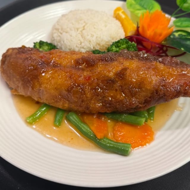 Red Snapper.